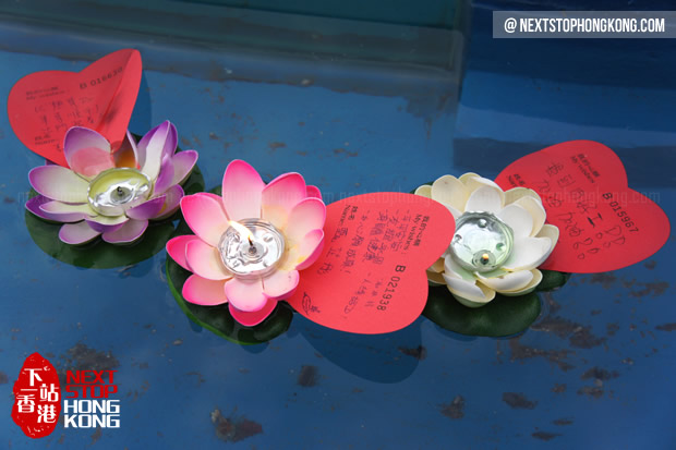Release your wish on lotus in Lam Tsuen Release your wish on lotus in Lam Tsuen