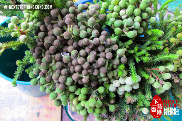 Flowers at Flower Market Flowers at Flower Market