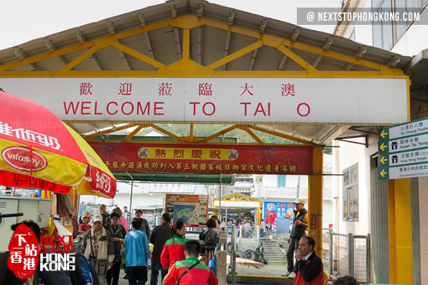 Welcome to Tai O Fishing Market Welcome to Tai O Fishing Market