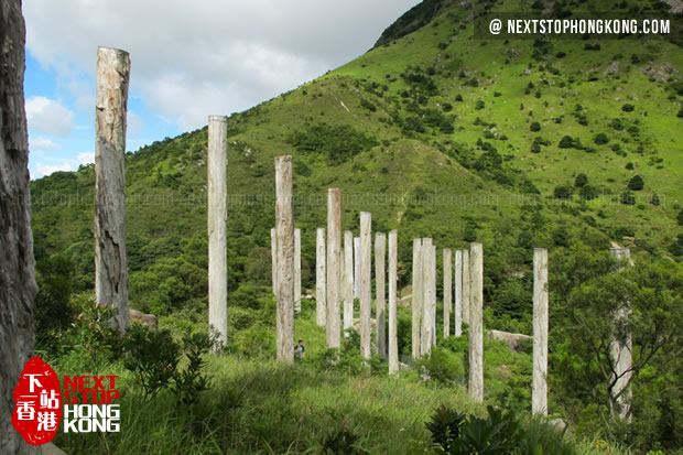 Timber Columns of Wisdom Path on Ngong Ping Timber Columns of Wisdom Path on Ngong Ping