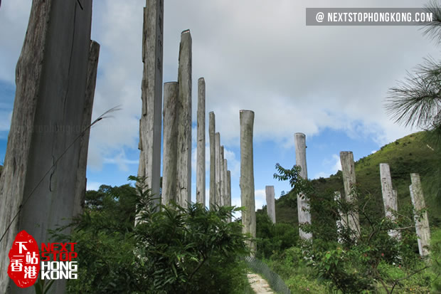 Timber Columns of Wisdom Path on Ngong Ping Timber Columns of Wisdom Path on Ngong Ping