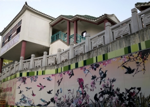雀鸟花园