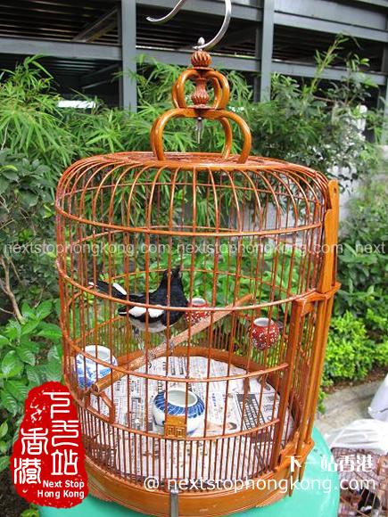 雀鸟花园的鸟笼 雀鸟花园的鸟笼