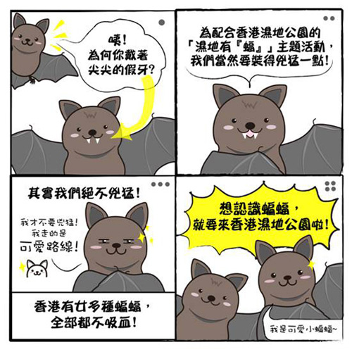 Bat at Wetland Park poster