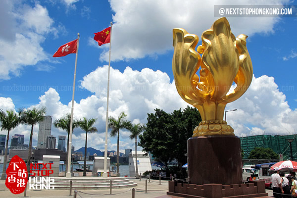 Golden Bauhinia Wan Chai