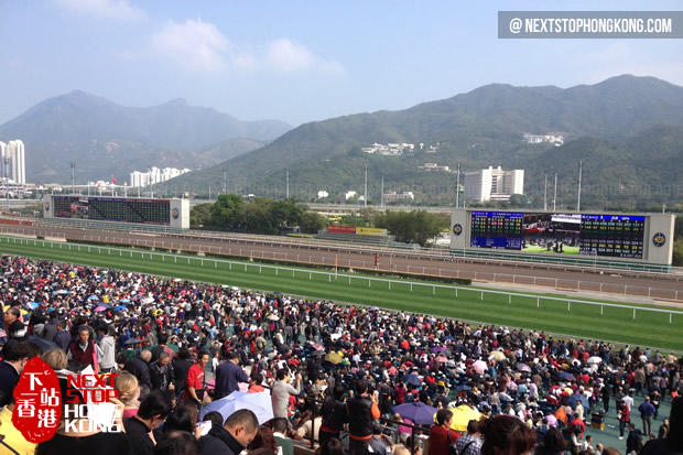 觀看賽馬的觀眾 觀看賽馬的觀眾