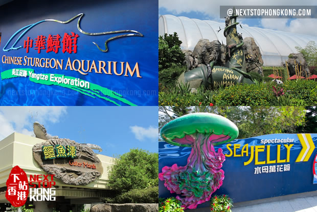 海洋公园不可错过的动物馆 海洋公园不可错过的动物馆
