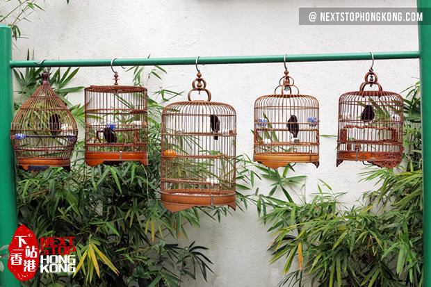 garden bird cages