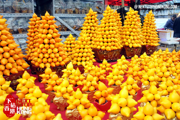 Golden Orange Tree