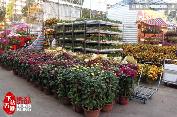 Narcissus on Flower Market