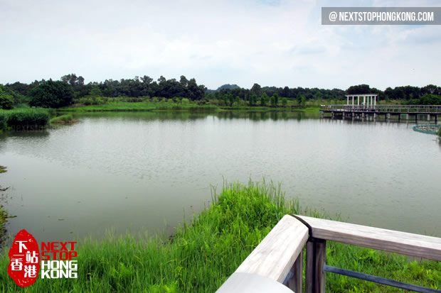 Hong Kong Wetland Park Reserve