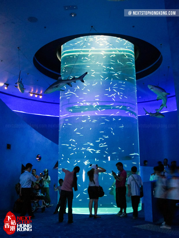 海洋奇观里的小水族箱(海滨乐园,海洋公园) 海洋奇观里的小水族箱(海滨乐园,海洋公园)