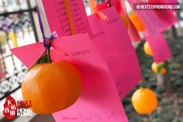 Make A Wish in Lam Tsuen