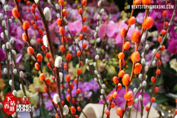 Hong Kong Chinese New Year Flower Markets 2020 Year Of Rat