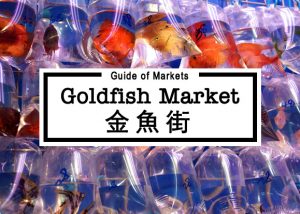 金魚街