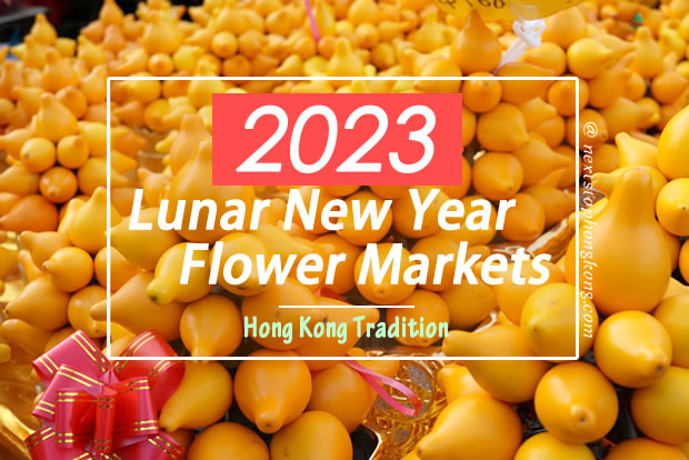7 Lucky Flowers and Plants for Chinese New Year - Flower Station
