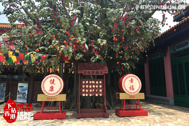 昂坪市集的菩提許願樹 昂坪市集的菩提許願樹