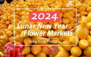 2024 Hong Kong Chinese New Year Flower Markets – Auspicious flowers, souvenirs, local food and more