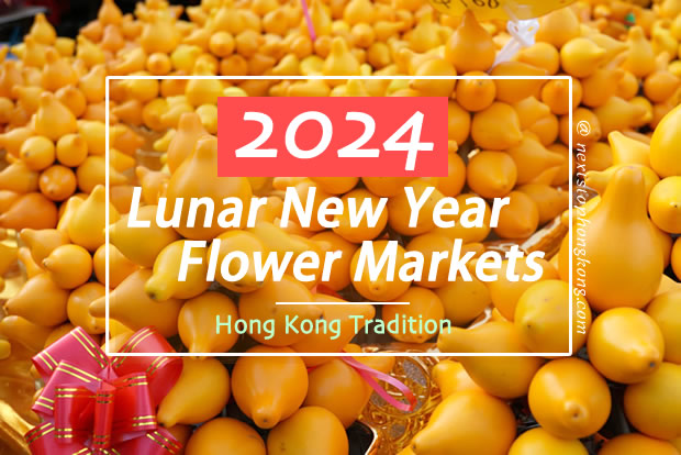 flower market hong kong chinese new year