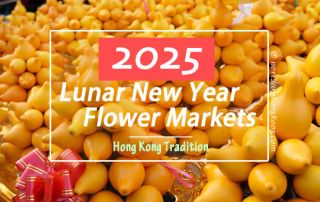 2025 Hong Kong Chinese New Year Flower Markets – Auspicious flowers, souvenirs, local food and more
